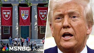 'Brain drain': Why the loss of international students will have reverberations on the economy 