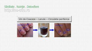 Vin de Coacaze – Lunule – Circulatie periferica