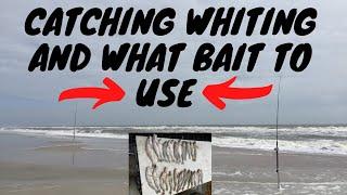 Fishing Florida Whiting and How to catch whiting from the surf. Surfcasting whiting in Jacksonville