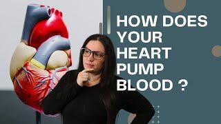 Blood Flow Through the Heart and Coronary Circulation