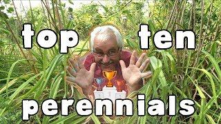 TOP 10 Edible Perennial vegetables and Herbs to plant in your garden or permaculture orchard! (2021)