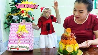 Monkey Lyly unexpectedly received a Christmas gift with all the love from her mother