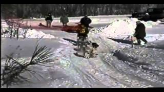 Sled Dog Crash Short 1995