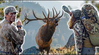 Colorado BACKCOUNTRY ELK HUNTING - We Found the BULLS! 