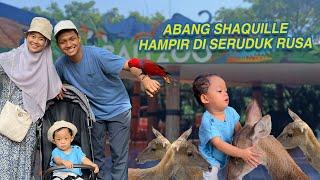 REAKSI ABANG SHAQUILLE KASIH MAKAN BINATANG | BALI ZOO | AZMANNIS