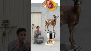 Vah Khat Mein Rasul || Islamic Animals Vfx Video 222  #islamic #shorts #tjsohail