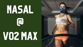 Can You NASAL (Nose) Breathe at Maximal Intensity? [VO2 MAX] | Oxygen Advantage