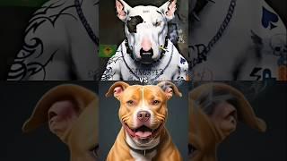 BULL TERRIER VS PITBULL TERRIER, ROTTWEILER, TIBETAN MASTIFF, BULLDOG (WHO IS BEST FIGHTER DOG)