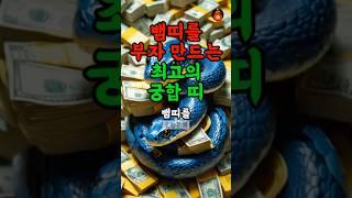 뱀띠 재물운 최강 궁합 띠 #띠별운세 #재물운 #뱀띠