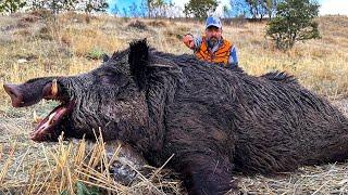 JAGD auf das UNGEHEUER: UNGLAUBLICHE Schüsse auf WILDSCHWEINE, EPISCHE Jagdszenen!