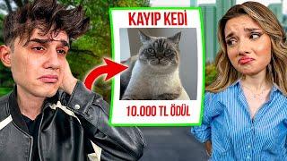 KEDİM KAYBOLDU ! Bulana 10.000 TL Ödül ( Dolandırıldım ) Ahmet Can Dündar Sıla Dündar