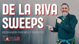 Basic De La Riva Sweeps EVERY Beginner Should Know