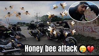 Honey bee attacked our bike partner while riding  pain‍↕️ | My bike and some important topics.|