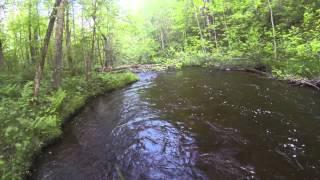 Northern Minnesota, Nymph Trout Fishing