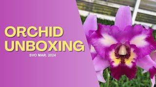 Unboxing Orchid Haul/March 2024/Sunset Valley Orchids