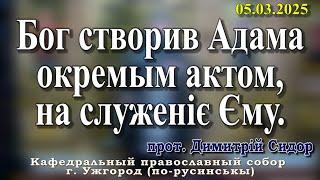 Бог створив Адама окремым актом, на служеніє Єму.05.03.2025, прот. Димитрій Сидор