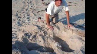 Protecting Loggerhead Sea Turtle Nests - St. Vincent NWR