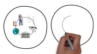 The Circle Of Influence