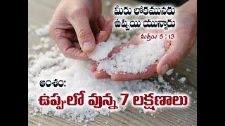 7 Qualities of Salt (Telugu)