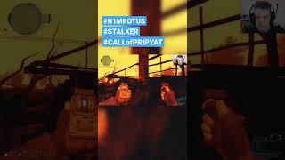 S.T.A.L.K.E.R.: впихиваю арты бороде #shorts #stalker #n1mrotus