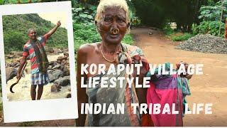 Koraput Village Life in Odisha | Koraput Adivasi | Indian Rural Life