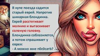 ️ Блондинка и Еврей в Поезде! Еврейские Анекдоты! Выпуск #434