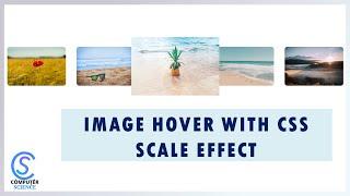 CSS Image Hover Effect with Scale Effect | HTML CSS | Computer Science