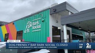 Bark Social says it will close permanently, enter bankruptcy