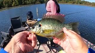 Lake Poinsett Crappie