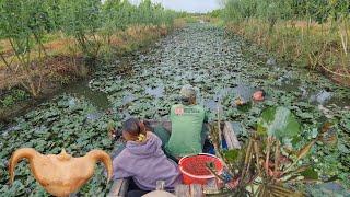 Lần Đầu Chị Em Được Trải Nghiệm Tự Tay Thu Hoạch CủẤu, Về Làm Bữa Tiệc Nhỏ Tại Gia | ỐcNhỏMiềnTây #4