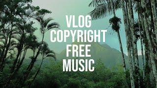 [Vlog No Copyright Music] Bright Chill Tropical House Travel Vlog | Norimaki - Jungle|무료브금/저작권 없는 음악