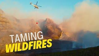 The Devastating Fires Of The Cape