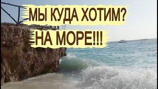 Куда хочу? На море! #shorts Не важно какое. Индийский океан или отдых в Сочи. Песня о море классная