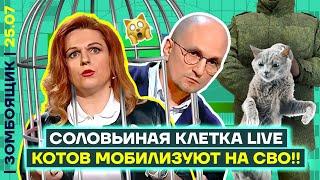  ЗОМБОЯЩИК | z-гниды кусают z-соловьёвских! | Смотрим 12-часовой телемарафон вербовки