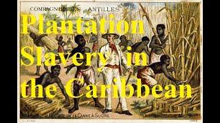 3.2 When sugar ruled the world: Plantation slavery in the 18th c. Caribbean