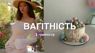 Щоденник вагітності |  2 триместр