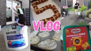 VLOG: ОТДАМ БЕСПЛАТНОГОТОВЛЮ/ МОЮ ОКНА/ ПРИГОТОВИЛИ В САДИК ЦИФРУ