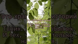 "Хранитель историй" #ХранительИсторий #Притча #ИсторияСмыслом  #ПсихологияДуши