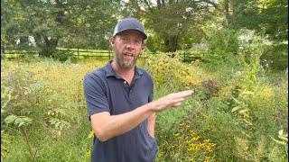 Rewild your backyard and track your progress with iNaturalist!