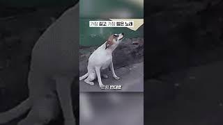 세상에서 가장 긴 노래와 가장 짧은 노래