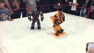 Robogames 2016: 3D printed robot KungFu