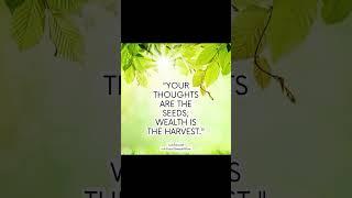 Stop Your Scroll: Unlock Your True Potential – Prosperity Begins in Your Mind! Have you ever felt