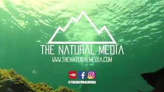 The Natural Media - Science, Education, Environment and Media