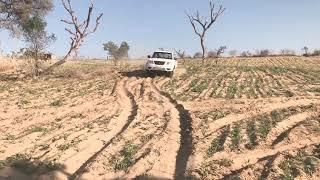 Tata Xenon Yodha  V/s mahendra Pickup