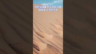 땅 구입전 확인해야 할 서류,토지이용계획확인원 #내집 #목돈 #지식 #결혼