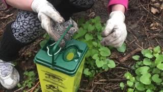 Community clean-up at the Cambridge Bridges homeless shelter