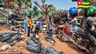 Largest rural village market day in Togoville west Africa. Cost of living in my village market