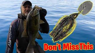 FALL Bass Fishing Chatterbait TIPS That Will CHANGE Your Game!