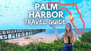 Pies, Pigs and Parks | Why YOU NEED to Visit Palm Harbor, FL