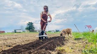 No Till Bed Prep, Last Minute Fall Greens